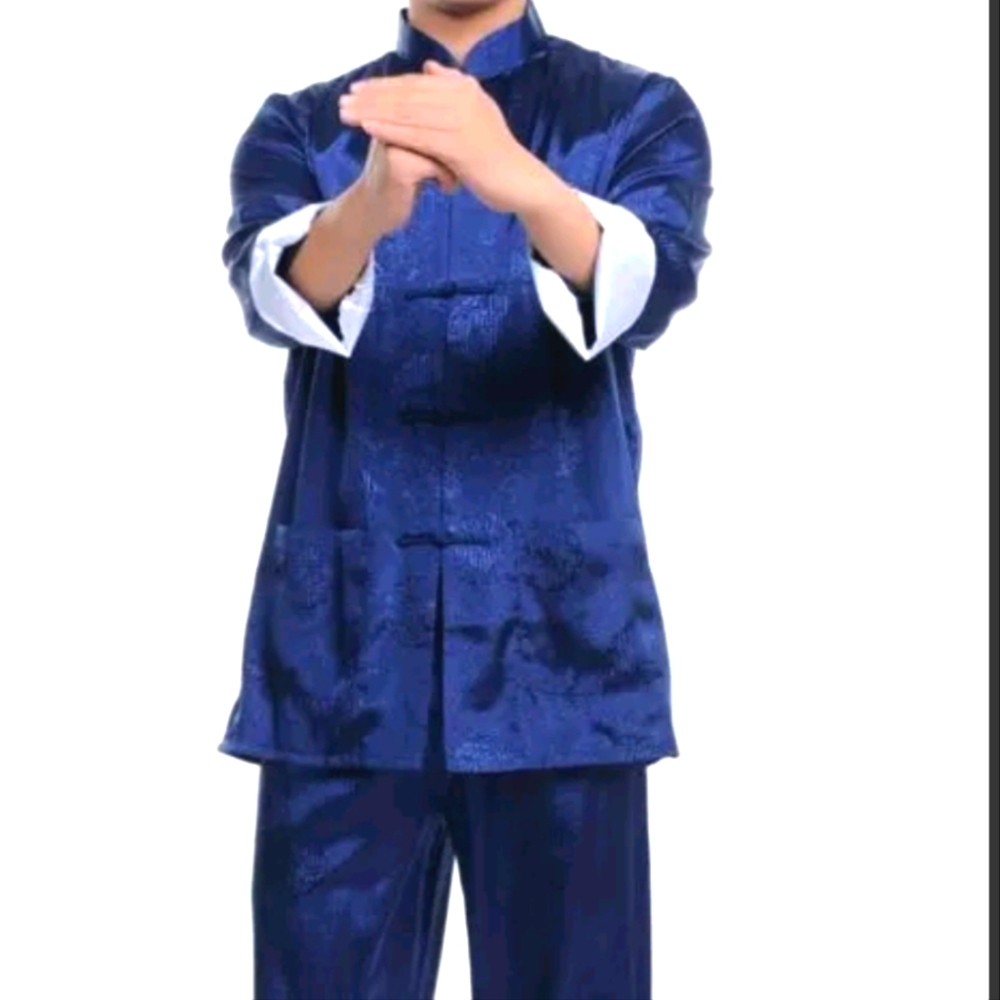 Chinese Silk Kung Fu Suit Pajamas Tops + Pants Enthis Tai Chi Coat